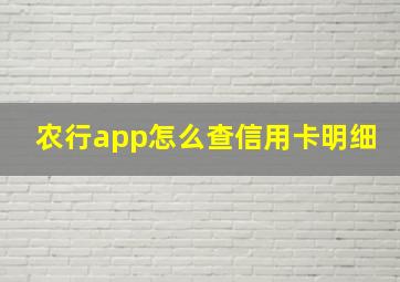 农行app怎么查信用卡明细