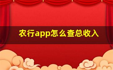 农行app怎么查总收入