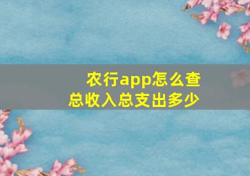 农行app怎么查总收入总支出多少