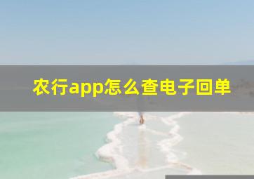 农行app怎么查电子回单