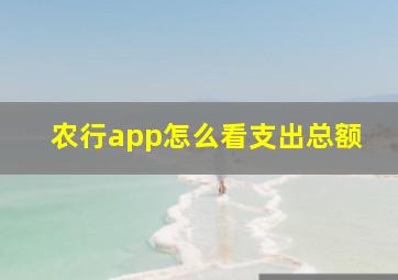 农行app怎么看支出总额