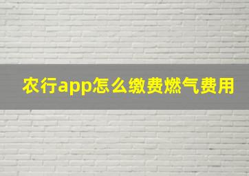 农行app怎么缴费燃气费用