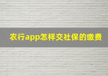 农行app怎样交社保的缴费