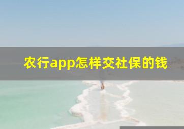 农行app怎样交社保的钱