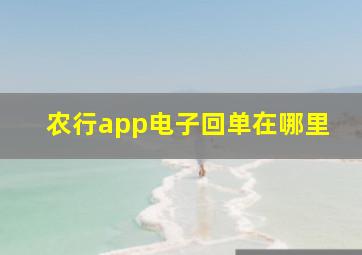 农行app电子回单在哪里