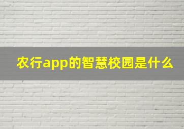 农行app的智慧校园是什么