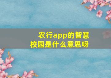 农行app的智慧校园是什么意思呀