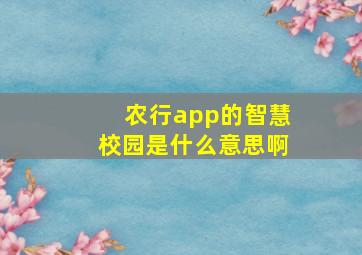 农行app的智慧校园是什么意思啊