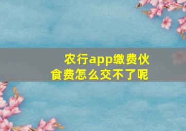 农行app缴费伙食费怎么交不了呢