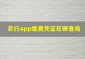 农行app缴费凭证在哪查询