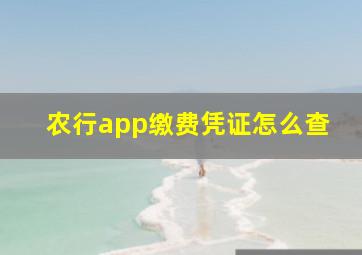 农行app缴费凭证怎么查