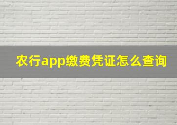 农行app缴费凭证怎么查询