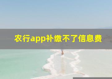 农行app补缴不了信息费