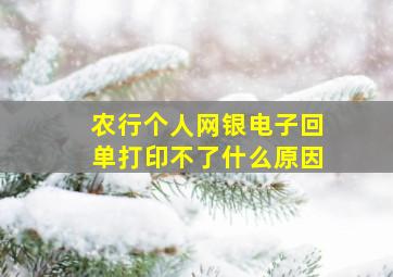 农行个人网银电子回单打印不了什么原因