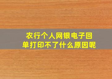 农行个人网银电子回单打印不了什么原因呢