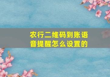 农行二维码到账语音提醒怎么设置的