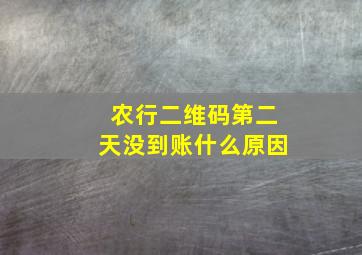 农行二维码第二天没到账什么原因