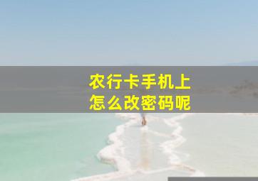 农行卡手机上怎么改密码呢