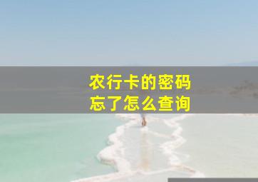 农行卡的密码忘了怎么查询