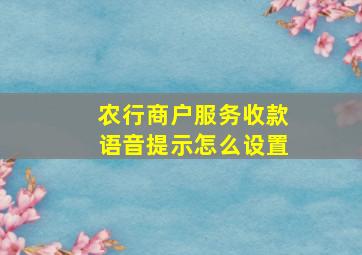 农行商户服务收款语音提示怎么设置