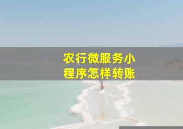 农行微服务小程序怎样转账