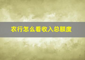 农行怎么看收入总额度