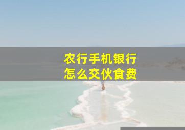 农行手机银行怎么交伙食费