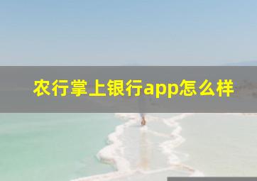 农行掌上银行app怎么样