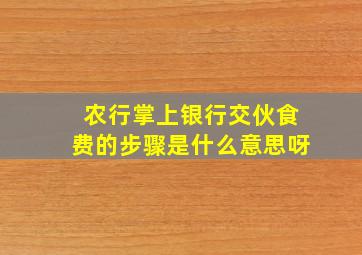 农行掌上银行交伙食费的步骤是什么意思呀