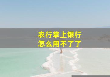 农行掌上银行怎么用不了了