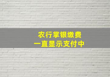 农行掌银缴费一直显示支付中