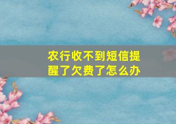 农行收不到短信提醒了欠费了怎么办