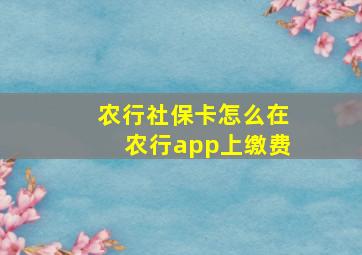 农行社保卡怎么在农行app上缴费