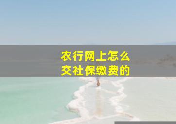 农行网上怎么交社保缴费的