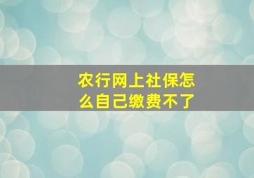 农行网上社保怎么自己缴费不了