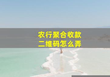 农行聚合收款二维码怎么弄