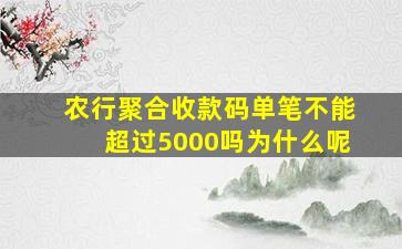 农行聚合收款码单笔不能超过5000吗为什么呢