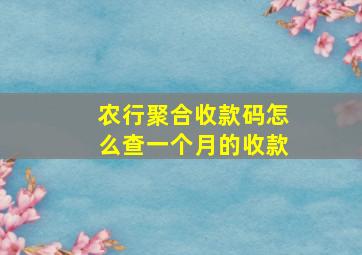 农行聚合收款码怎么查一个月的收款