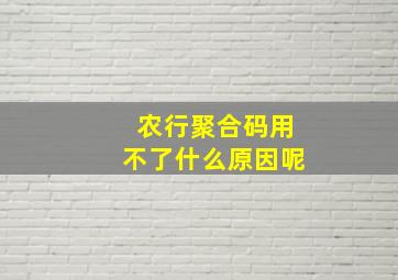 农行聚合码用不了什么原因呢