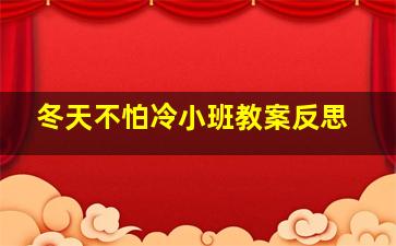 冬天不怕冷小班教案反思