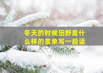 冬天的时候田野是什么样的景象写一段话