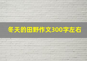 冬天的田野作文300字左右