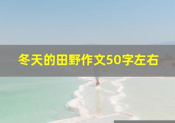 冬天的田野作文50字左右