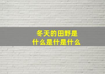 冬天的田野是什么是什是什么