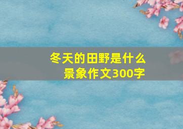 冬天的田野是什么景象作文300字