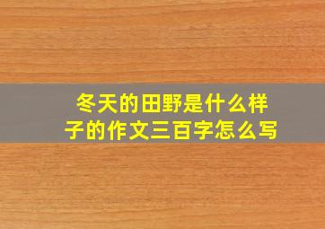 冬天的田野是什么样子的作文三百字怎么写