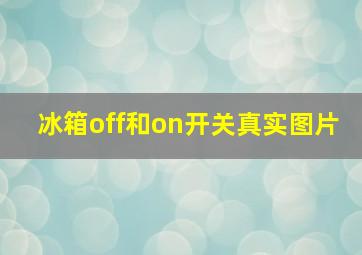 冰箱off和on开关真实图片