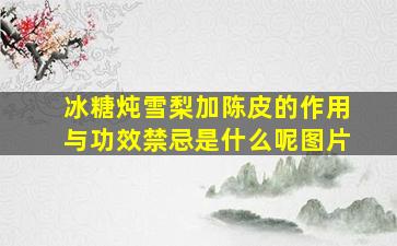 冰糖炖雪梨加陈皮的作用与功效禁忌是什么呢图片