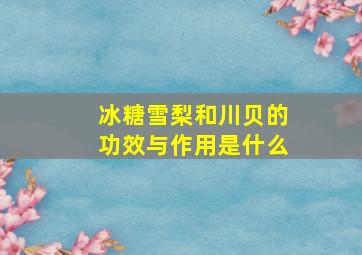 冰糖雪梨和川贝的功效与作用是什么