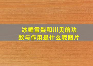 冰糖雪梨和川贝的功效与作用是什么呢图片